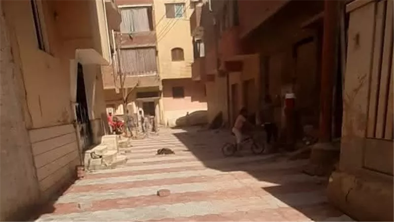 بني سويف: صيانة أعمدة الإنارة ورفع المخلفات بقرى وتوابع ببا