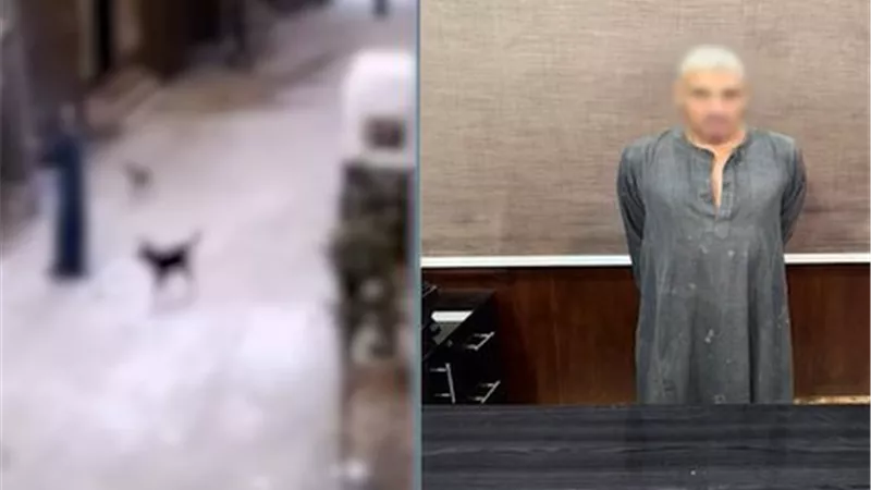 هاجم المارة.. الأمن يضبط حارس عقار عذب 