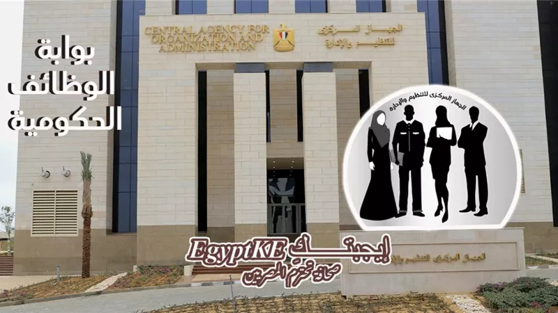 وظائف حكومية جديدة.. التنظيم والإدارة يعلن عن وظيفة مدير عام الدعم القانوني (الشروط وحالات الرفض)