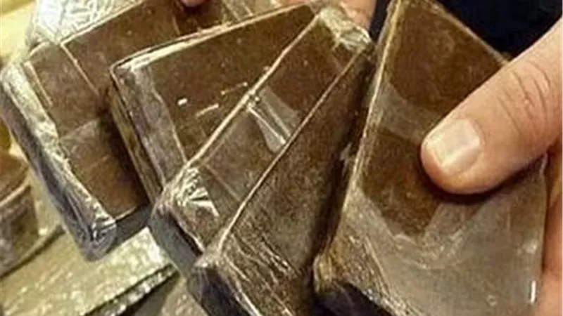 ضبط عاطلين وبحوزتهما 50 طربة حشيش قبل ترويجهما في الشرقية