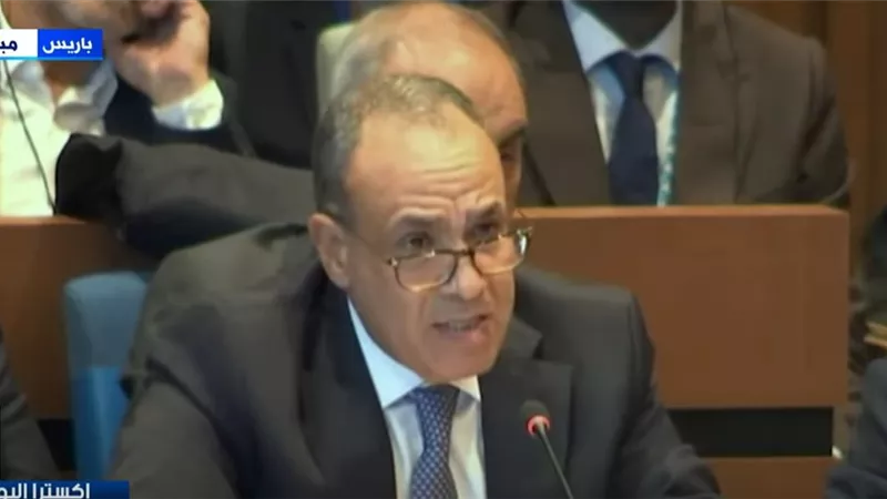 وزير الخارجية: فوز خالد العناني برئاسة اليونسكو تتويج لمكانة مصر الريادية| فيديو