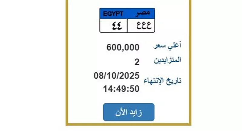 مزاد ناري على لوحة «ع ع ع 44».. السعر يقفز إلى 600 ألف جنيه قبل انتهاء المزايدة