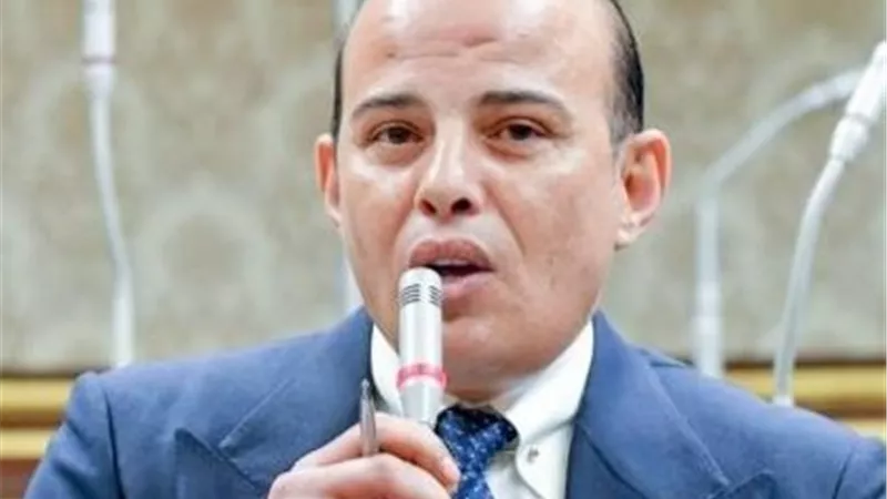 برلماني: شراكة استراتيجية بين مصر والسعودية تضمن استقرار المنطقة