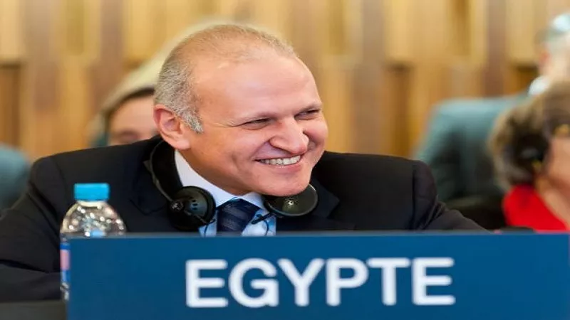 رئيس المجلس التنفيذي الأسبق لـ«اليونسكو»: خالد العناني قادر على تعزيز رسالة السلام|فيديو