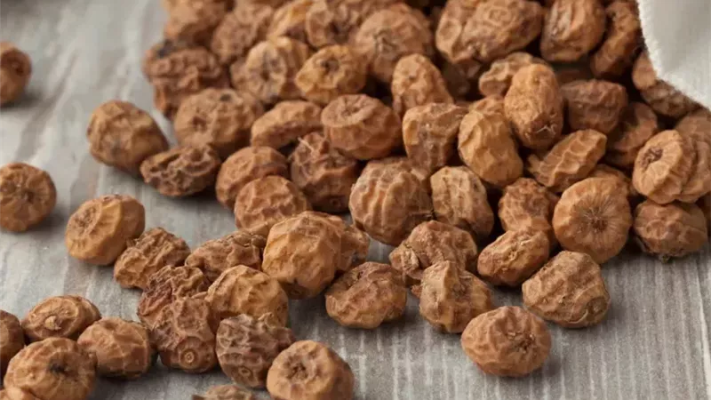 جوز النمر.. الكنز الصغير الذي أسر العالم من مصر إلى إسبانيا