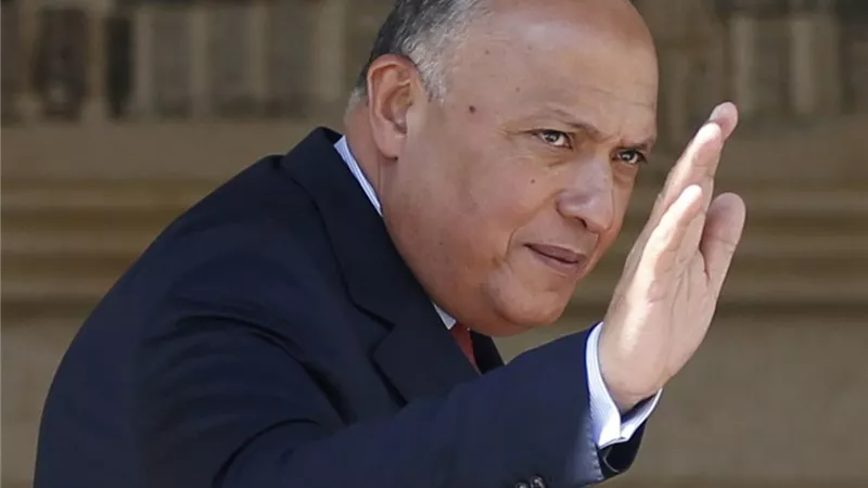 مؤسس حملة «العنانى» ..  وزارة الخارجية توجه الشكر لسامح شكرى