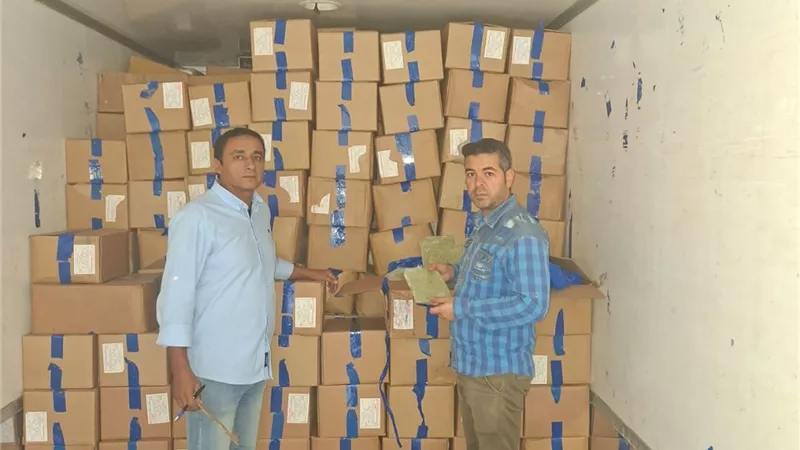 «خرشوف وبامية».. التحفظ على 6 أطنان خضروات مجمدة منتهية الصلاحية بالإسكندرية