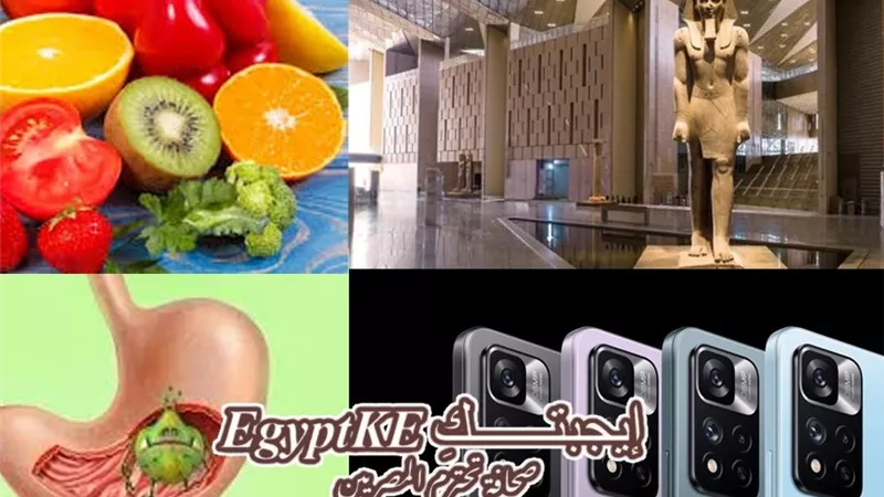 نشرة منوعات وتكنولوجيا «إيجبتك»| معلومات عن المتحف المصري الكبير وآخر إصدارات هواتف جوجل بكسل