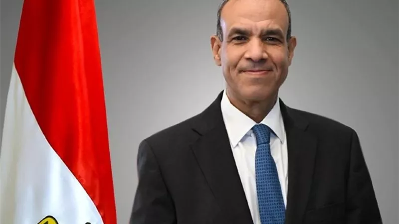 وزير الخارجية: مصر تقود تحركات دبلوماسية مكثفة لإنهاء الحرب 