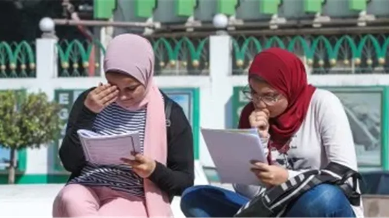 التعليم تكشف تفاصيل مواصفات امتحان اللغة العربية الشهرية للمرحلة الابتدائية 2025