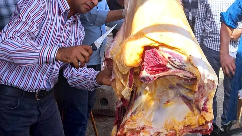 ضبط 197 كيلو لحوم وأسماك فاسدة في حملات تفتيشية للطب البيطري بسوهاج| صور