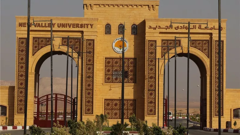 جامعة الوادي الجديد: واقعة التعدي بين الطالبات خارج الحرم الجامعي وجاري التحقيق