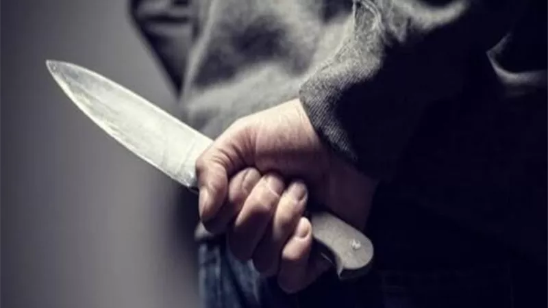 جريمة تهز المحلة الكبرى.. شاب يطعن والدته وعمه بسبب وديعة في البنك