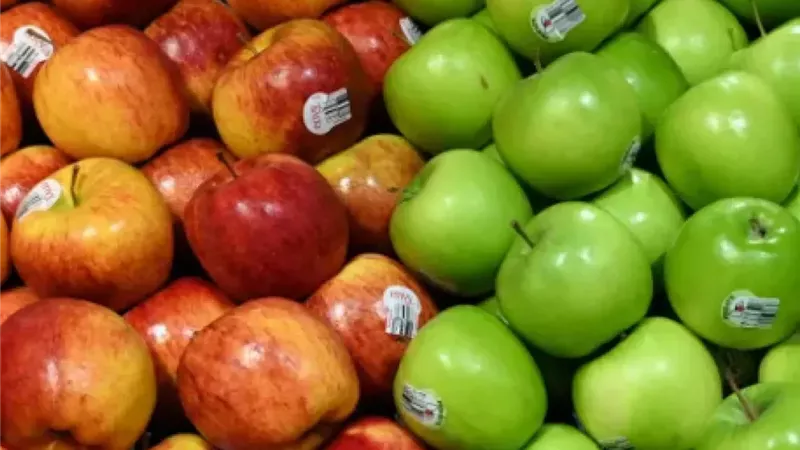التفاح الأحمر والأخضر.. أيهما الأفضل لجسمك