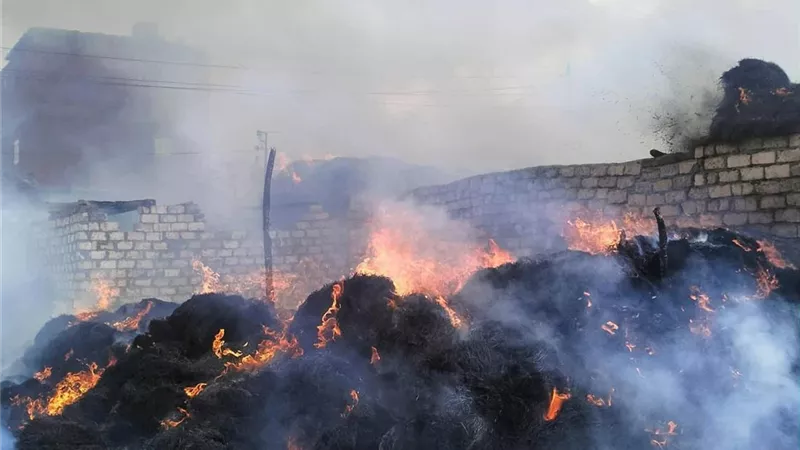 ليلة الرعب في برمبال الجديدة بالدقهلية.. النيران تلتهم حظيرة مواشي وتفزع الأهالي
