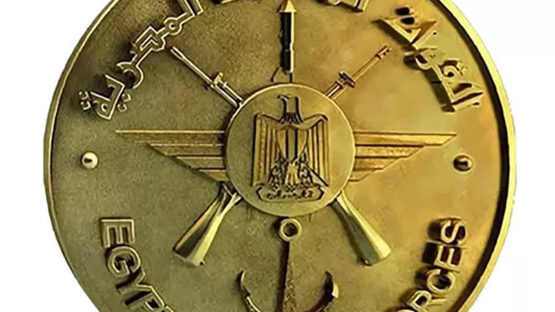 القوات المسلحة والداخلية تنفذان حملة موسعة بالمنطقة الجنوبية لضبط البؤر