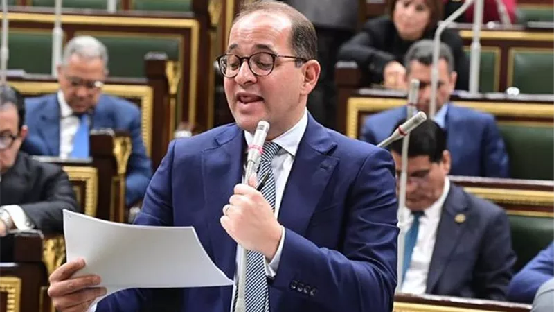 كجوك: إيرادات الموازنة الجديدة 4.1 تريليون جنيه وأولوية للصحة والتعليم