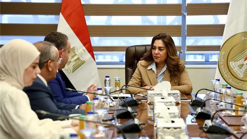 وزيرة التنمية المحلية تبحث مع نقيب المهندسين عدد من مجالات وملفات التعاون 