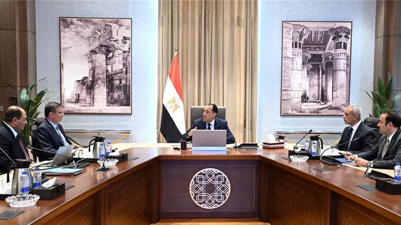 30 ألف رأس.. الحكومة تتجه لإنشاء 6 محطات حديثة للجاموس الخليط الإيطالي