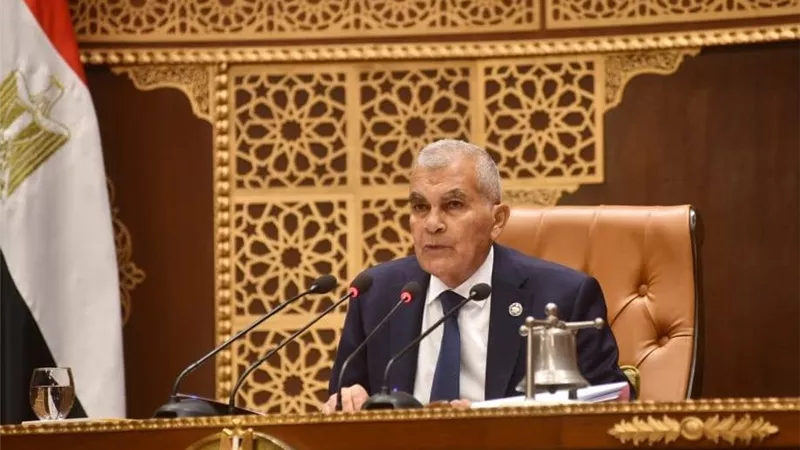 رئيس الشيوخ: ثورة يونيو غيرت مجرى التاريخ وحققت مكانة مصر الدولية