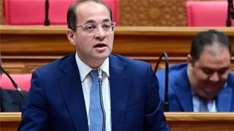 وزير المالية: النظام الضريبي المبسط يمثل عامل جذب للاستثمارات بمصر