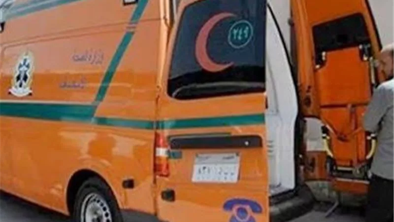صدمته سيارة ربع نقل بقرية الخيام.. مصرع طفل في دار السلام بسوهاج
