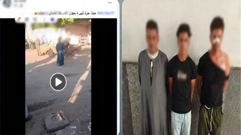  مشاجرة بين عدد من الأشخاص بالعصى الخشبية بأسيوط.. وضبط طرفى المشاجرة