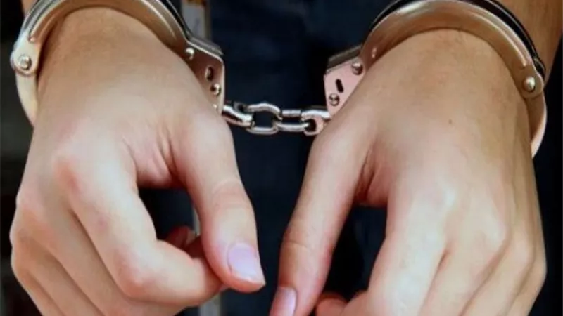 بدء جلسة محاكمة المتهمة باختطاف رضيعة مستشفى الحسين.. تفاصيل