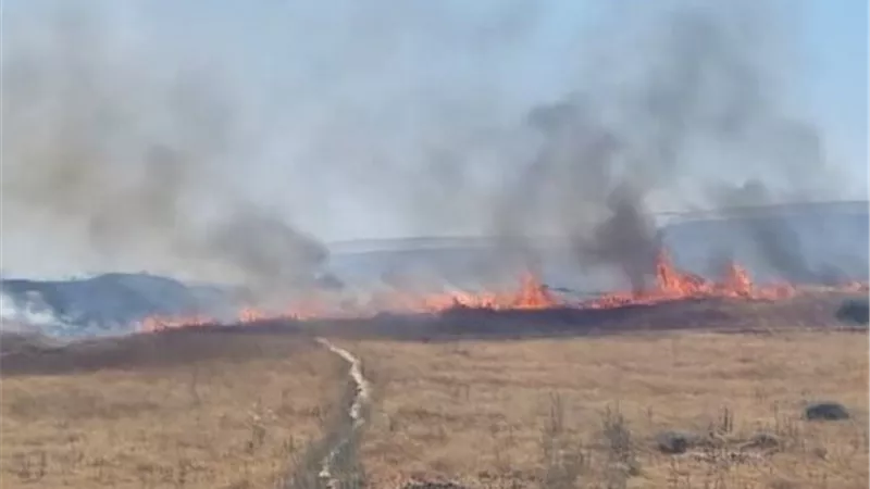 حريق في بجنوب لبنان عقب قصف فوسفوري من جيش الاحتلال