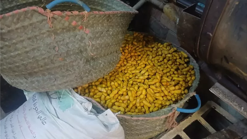 ضبط مواد محظور استخدامها بأحد محال اللب بالأقصر