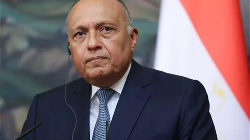وفد مجلس النواب في بروكسل.. مناقشات حول مستجدات القضايا الإقليمية