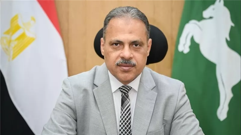 12 عامًا من التنمية| الشرقية: تنفذ 4777 مشروعًا باستثمارات 63.4 مليار جنيه