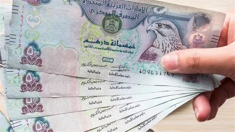أسعار الدرهم الإماراتي اليوم الأحد.. أحدث أسعار الشراء والبيع بالبنوك