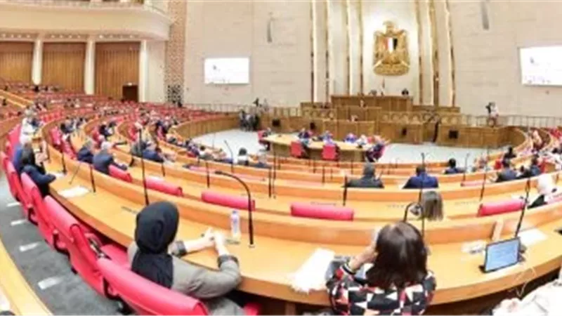 النائب محمد أبو النصر: ثورة 30 يونيو أعادت تصحيح مسار الوطن 