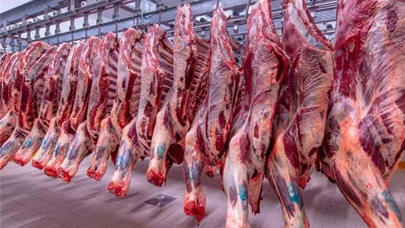 انخفاض جديد في أسعار اللحوم اليوم.. وكيلو الكندوز يبدأ من 250 جنيه