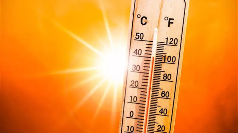 طقس اليوم.. الأرصاد تحذر من موجة شديدة الحرارة ورطوبة مرتفعة