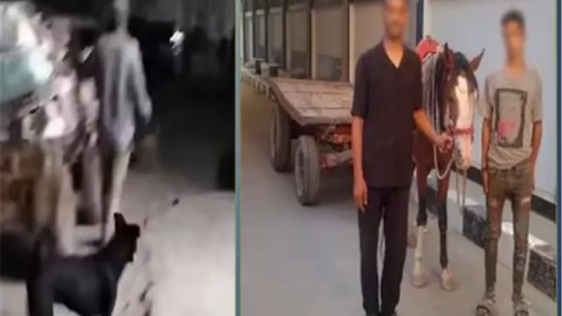 القبض علي قائد عربة كارو وآخر بإلقاء المخلفات بمنطقة المرج.. تفاصيل