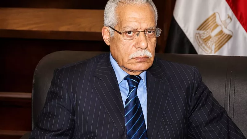 أحمد سويلم: إنشاء الثقافة الجماهيرية ترجمة لـ«ثورة 23 يوليو»|خاص