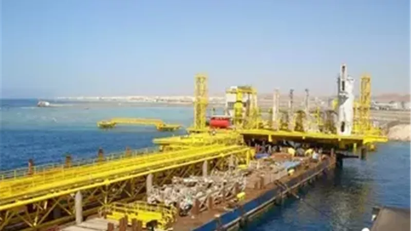 لماذا اختارت الحكومة إنبي وإيلاب وPMS؟..  خبير: قرار استراتيجي مدروس|خاص 