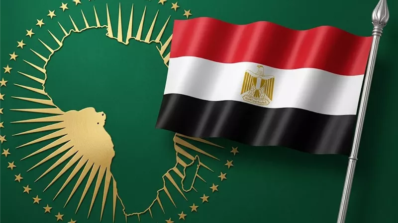 العودة إلى إفريقيا.. ماذا حققت القاهرة بعد 30 يونيو؟