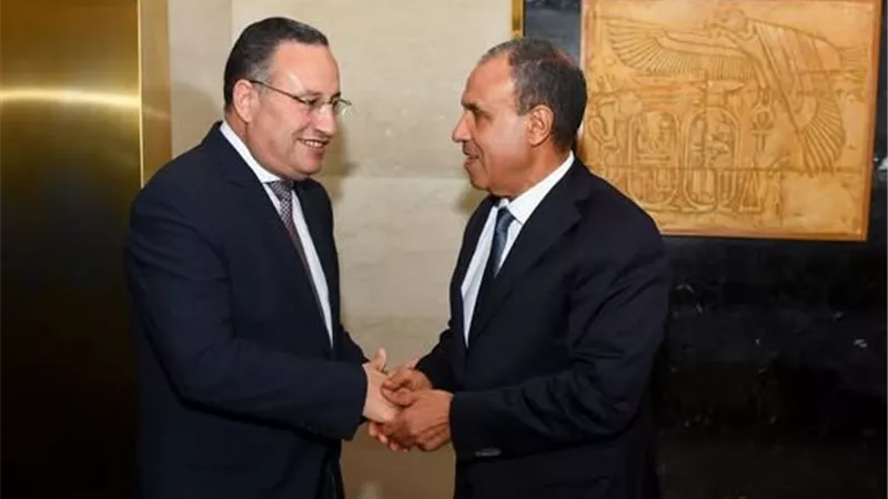 عبد العاطي يستقبل وزير التعليم العالي لبحث سبل تعزيز التعاون بينهما