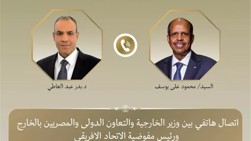 وزير الخارجية: ندعم دور مفوضية الاتحاد الأفريقي في تعزيز السلم بالقارة
