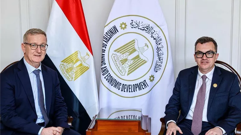 مصر وأيرلندا يبحثان دعم الشركات الصغيرة وتأمين إمداد السلع الاستراتيجية