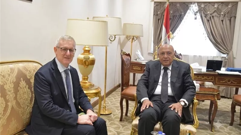رئيس خارجية النواب يبحث مع سفير أيرلندا تعزيز التعاون المشترك
