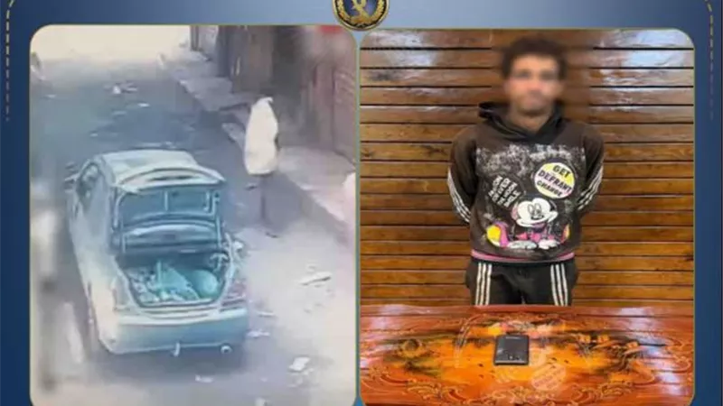 سقوط لص الهواتف المحمولة داخل سيارة بالقليوبية 