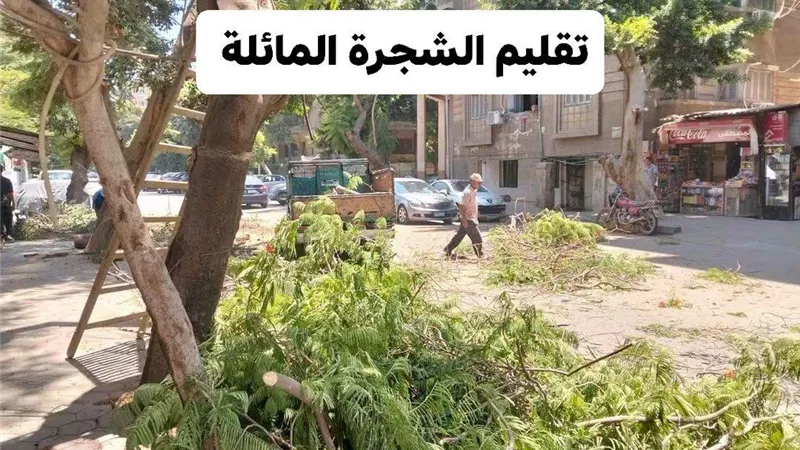 محافظة الجيزة تستجيب لشكاوى المواطنين وتتحرك فورًا بالعجوزة والهرم