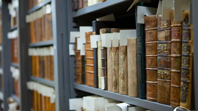 15 ألف كتاب نادر و700 دورية.. كنوز معرفية داخل مكتبة الإسكندرية