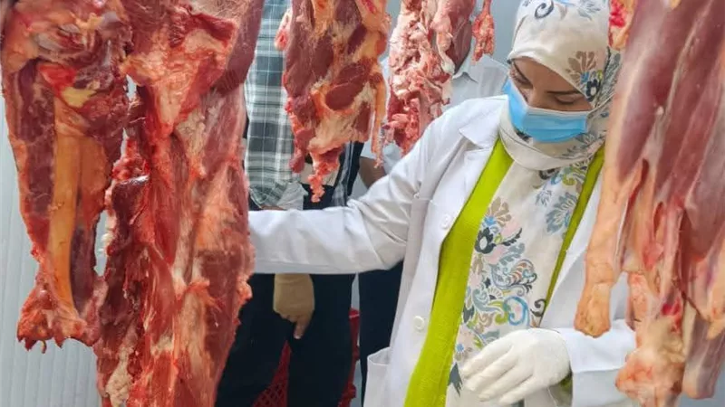 ضبط 28 طنًا لحوم ودواجن وطيور مجمدة ومنتجات غذائية فاسدة بالشرقية 