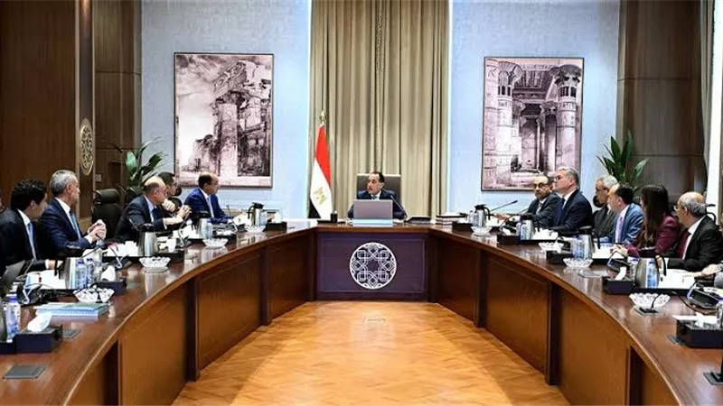 اقتصادي: برنامج الطروحات الحكومية هدفه تعزيز الاستثمار وتمكين القطاع الخاص