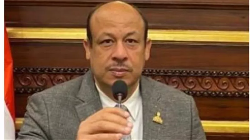 النائب سمير البيومي: «الأوكتاجون» يعكس رؤية الدولة لبناء الجمهورية الجديدة
